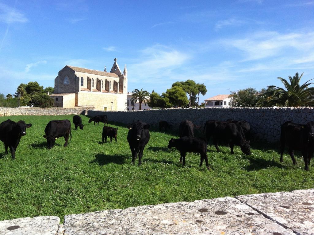 Llucmacanes Gran Agroturismo Mahon  Exterior photo